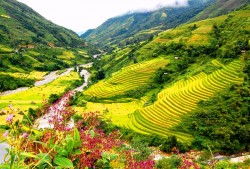 7 nơi tuyệt đẹp ở Việt Nam trong mắt người nước ngoài - 7 noi tuyet dep o Viet Nam trong mat nguoi nuoc ngoai