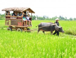3 tour du lịch dân dã của Việt Nam ‘đốn tim’ khách nước ngoài - 3 tour du lich dan da cua Viet Nam ‘don tim’ khach nuoc ngoai